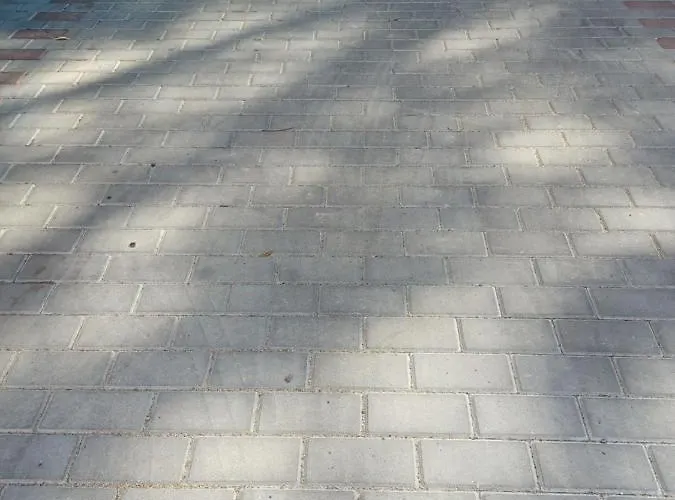 Ajp Gold Dabie Szczecin